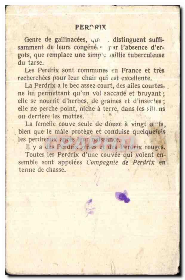 Chromo Perdrix Genre de gallinacees — Verso
