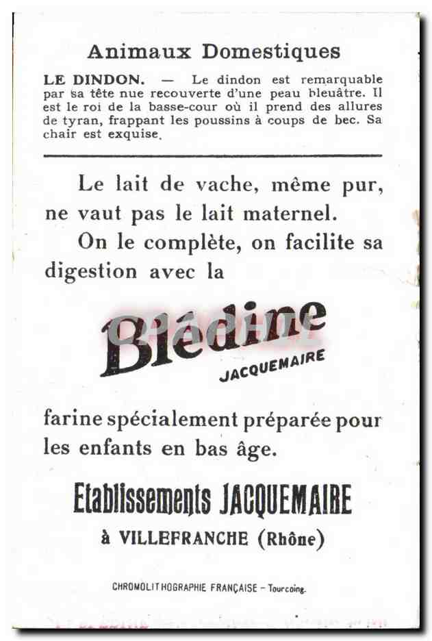 Image Dindon Bledine — Rückseite