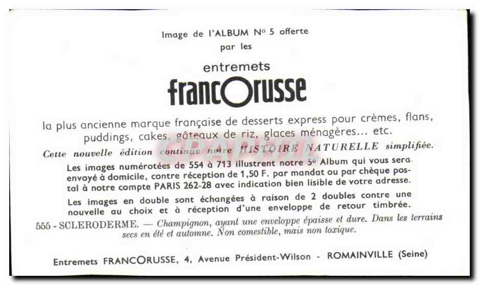 Image Entremets Francorusse Champignon — Verso