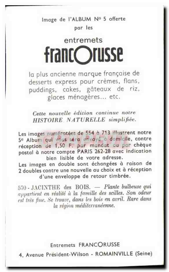 Image Entremets Francorusse Fleurs — Verso