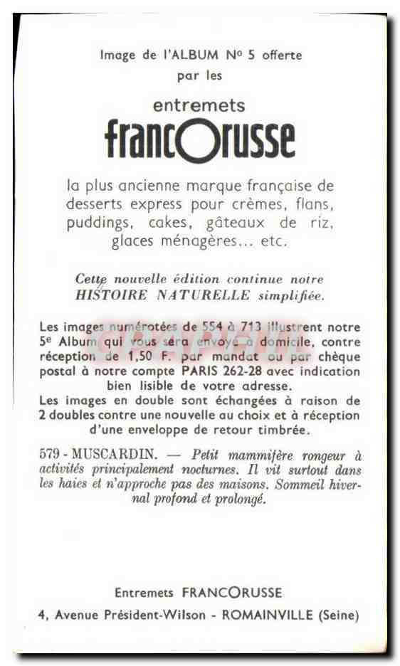 Image Entremets Francorusse Muscardin — Verso