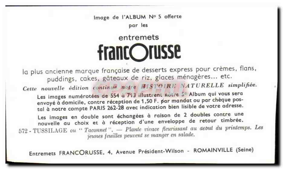 Image Entremets Francorusse Tussilage ou Taconnet  — Verso