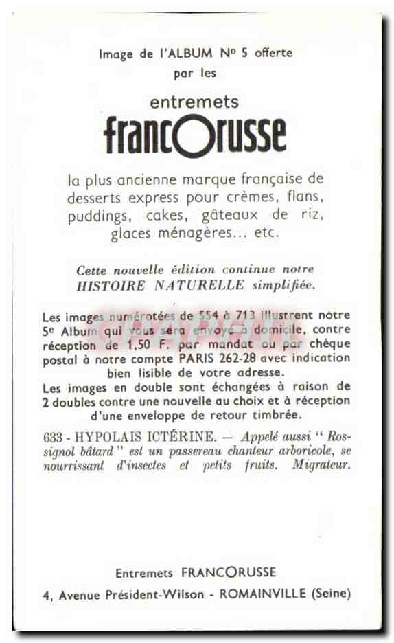 Image Entremets Francorusse Hypolais Icterine Rossignol batard — Verso