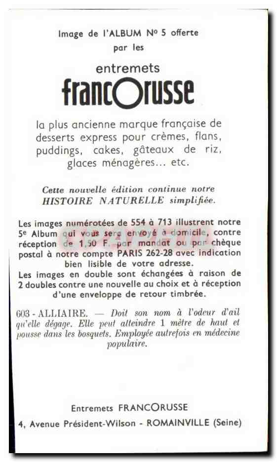 Image Entremets Francorusse Alliaire  — Verso
