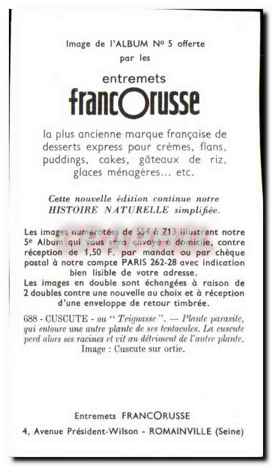 Image Entremets Francorusse Cuscute ou Teiguasse  — Back