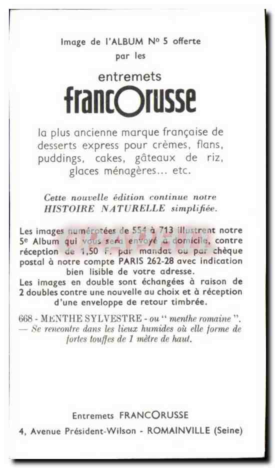 Image Entremets Francorusse Menthe sylvestre — Verso