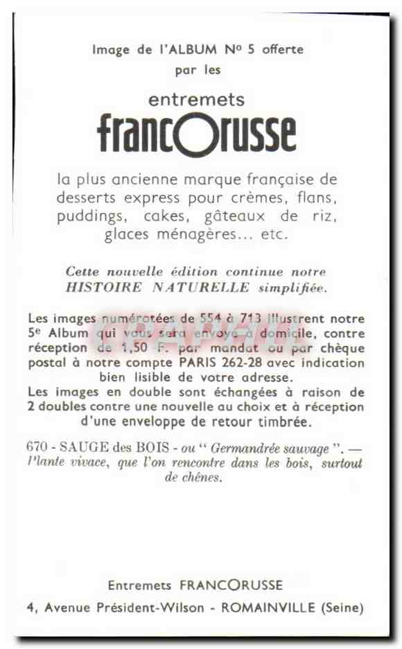Image Entremets Francorusse Sauge des Bois ou Plante vivace  — Verso
