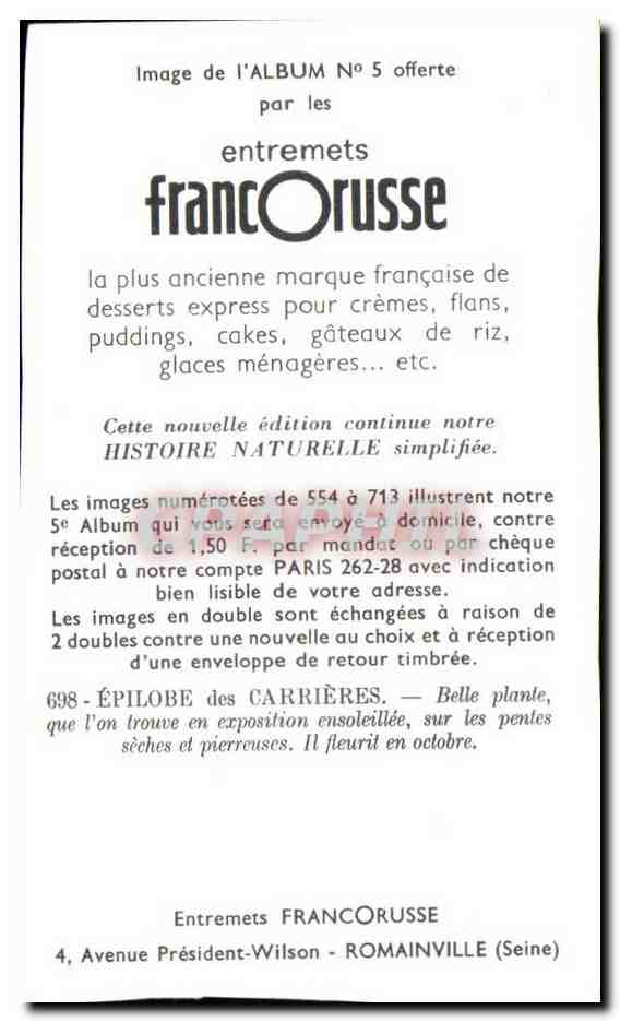 Image Entremets Francorusse Epilobe des Carrieres  — Verso