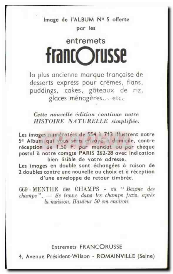 Image Entremets Francorusse Menthe des Champs  — Rückseite
