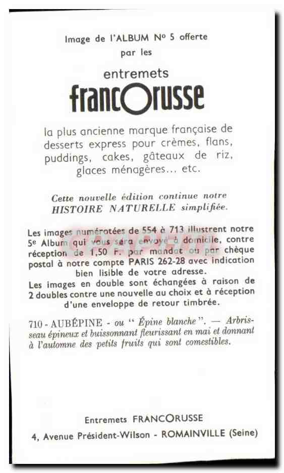 Image Entremets Francorusse Aubepine ou Epine blanche  — Rückseite