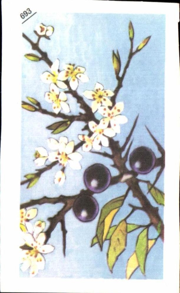 Image Entremets Francorusse Prunelle ou Epine noire 