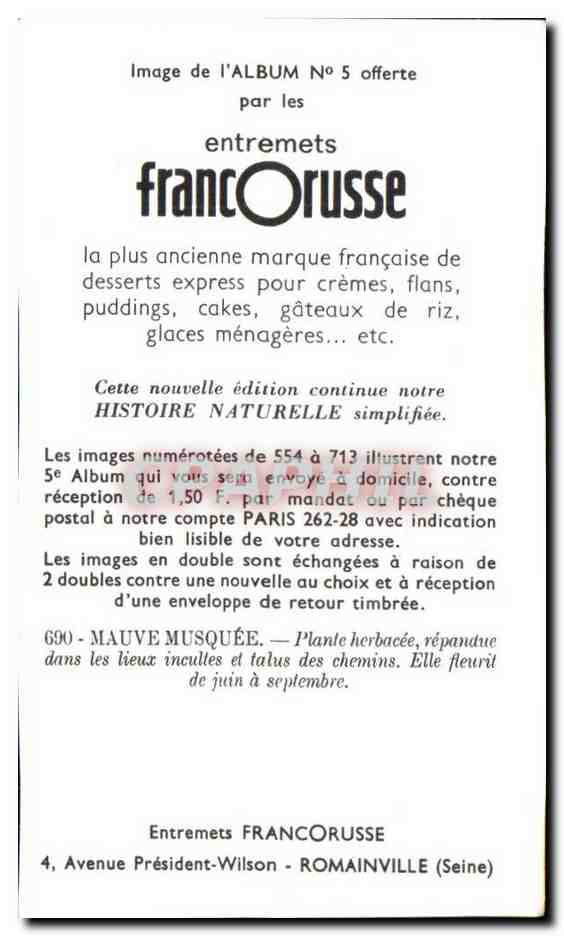 Image Entremets Francorusse Mauve Musquee — Verso
