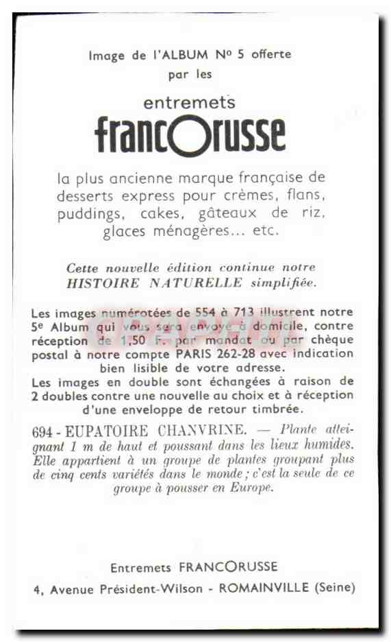 Image Entremets Francorusse Eupatoire Chanvrine  — Verso
