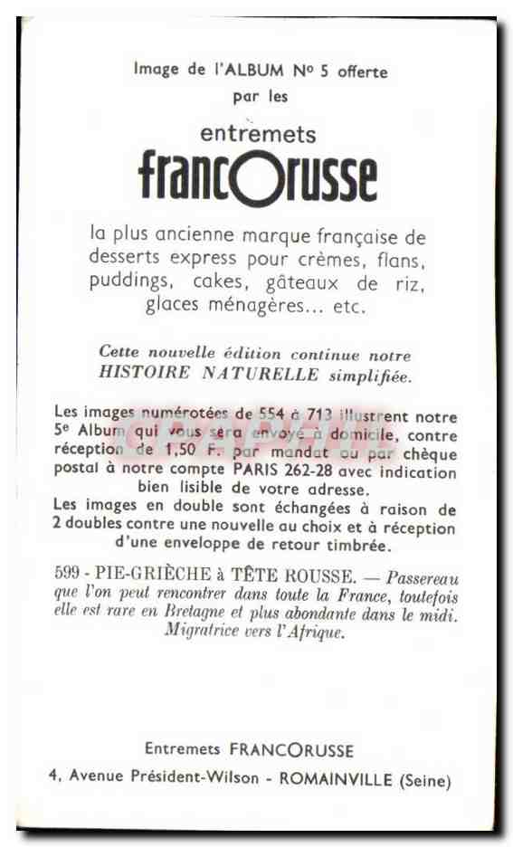 Image Entremets Francorusse Pie Grieche a Tete Rousse — Verso