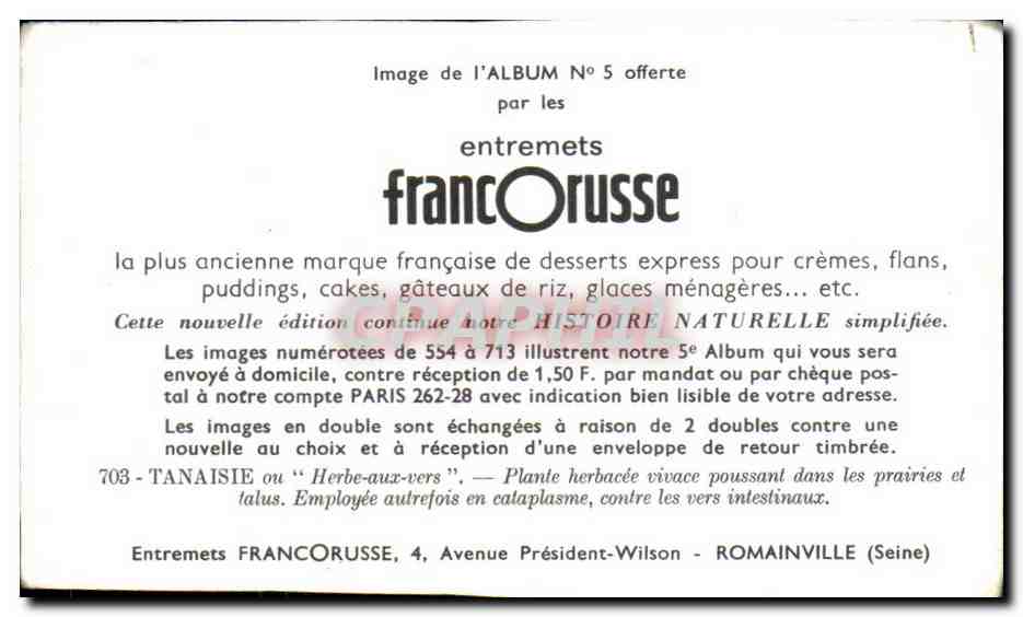 Image Entremets Francorusse Tanaisie  — Verso