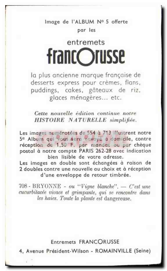 Image Entremets Francorusse Bryonne ou Vigne blanche  — Verso