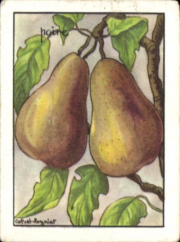 Image Poire