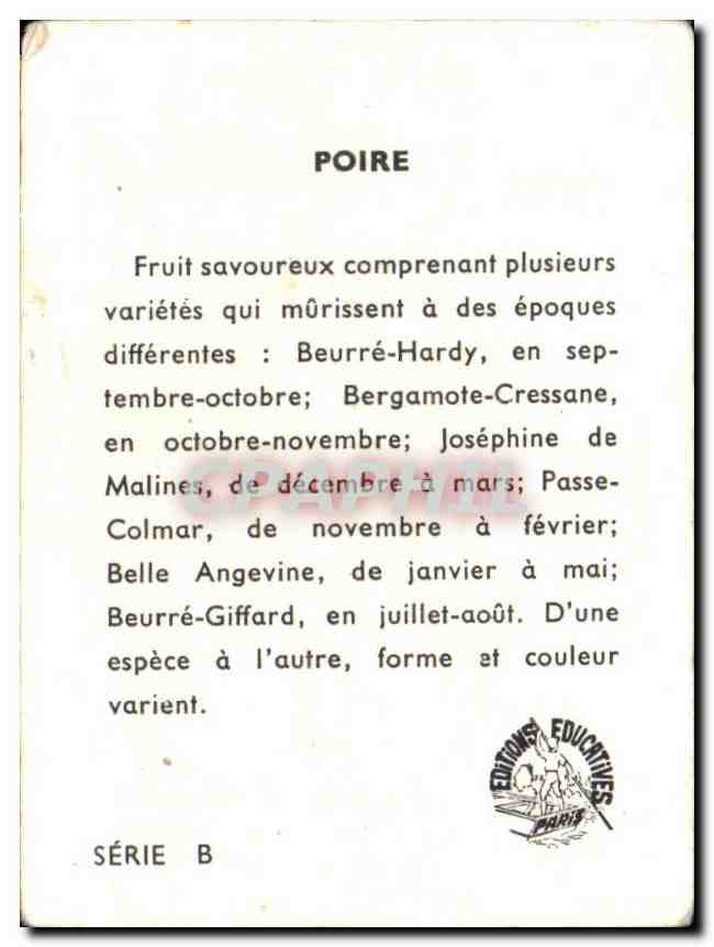 Image Poire — Verso