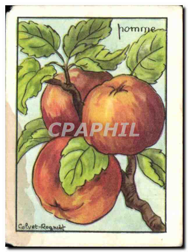 Image Pomme