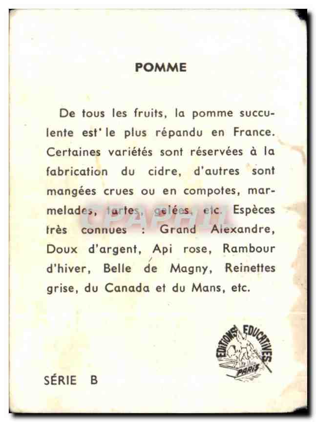 Image Pomme — Verso