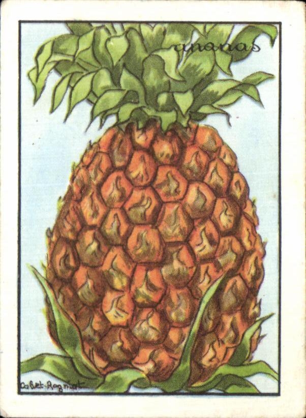 Image Ananas