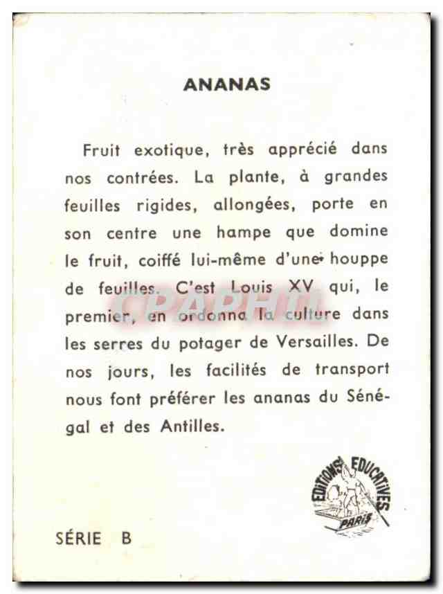 Image Ananas — Verso