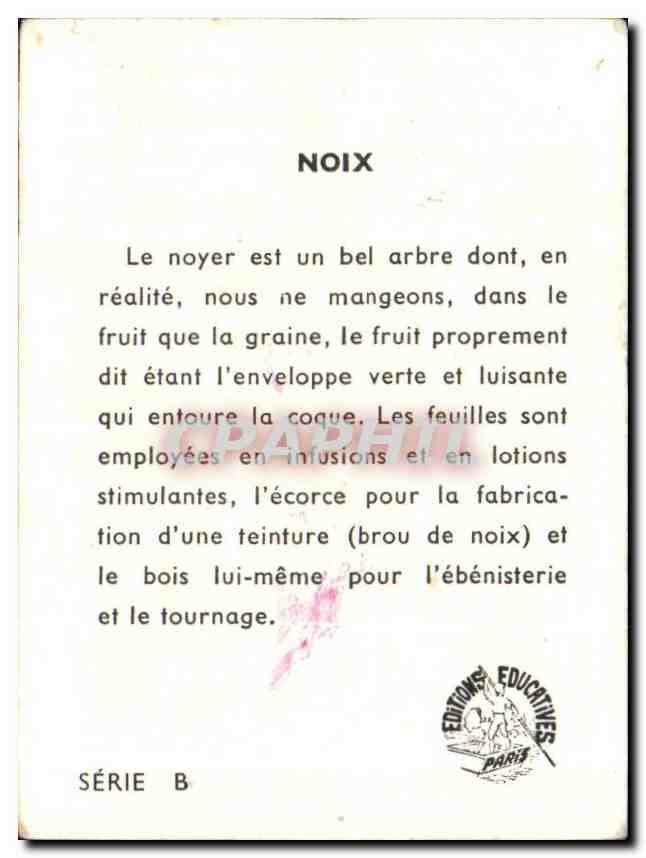Image Noix — Back