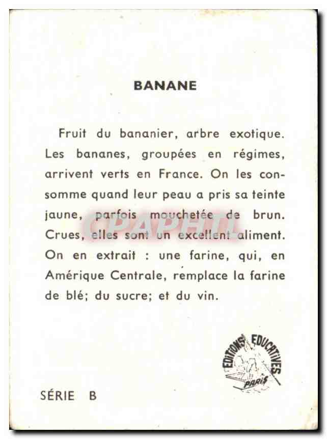 Image Banane Fruit du bananier arbre exotique Les bananes — Verso