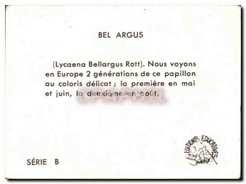 Image Bel Argus Papillon  — Verso