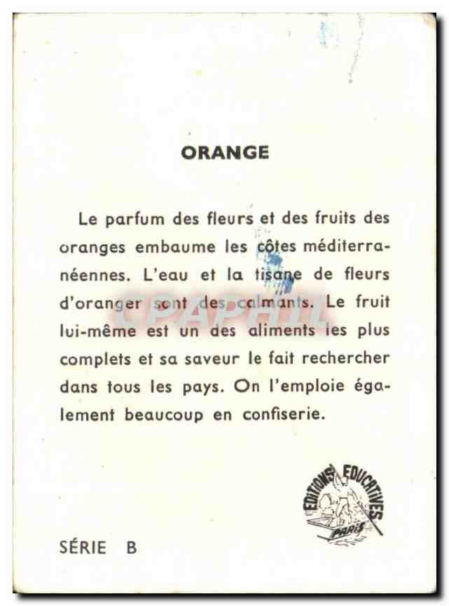 Image Orange Le parfum des fleurs et des fruits des oranges embaume les cotes mediterraneennes — Verso