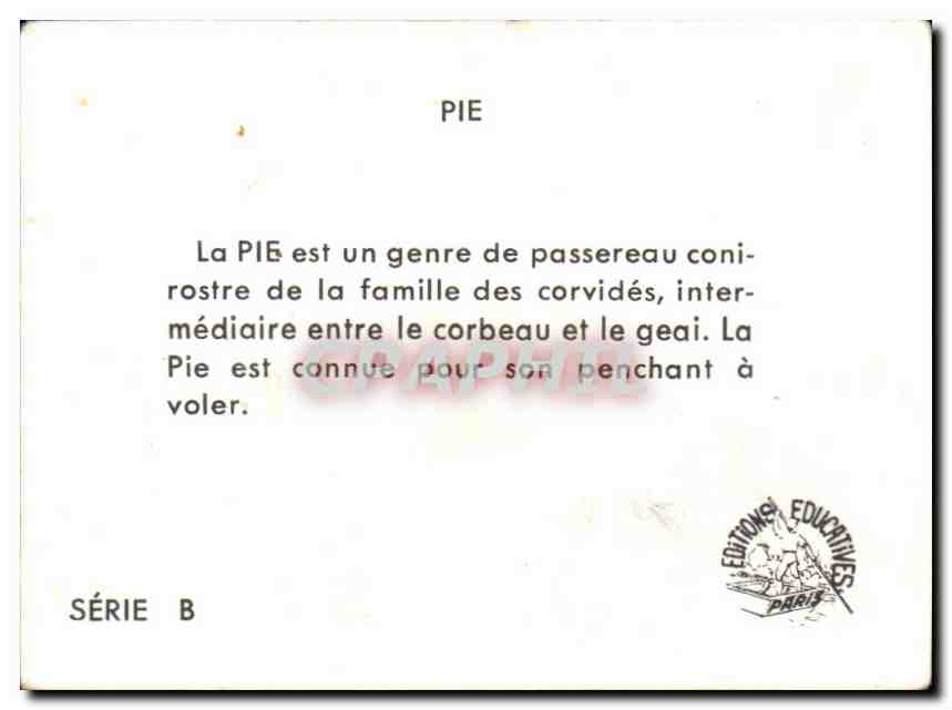 Image Pie La Pie  — Verso