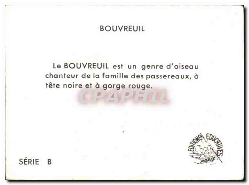 Image Bouvreuil  — Rückseite