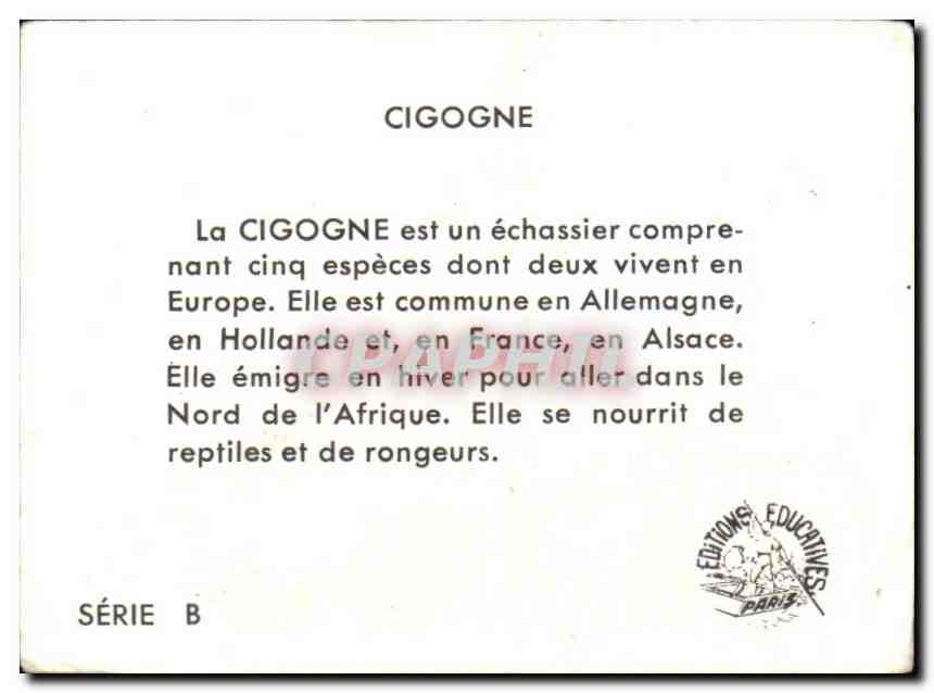 Image Cigogne — Rückseite
