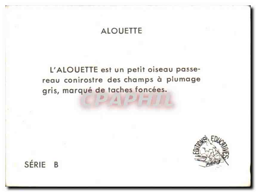 Image Alouette  — Verso