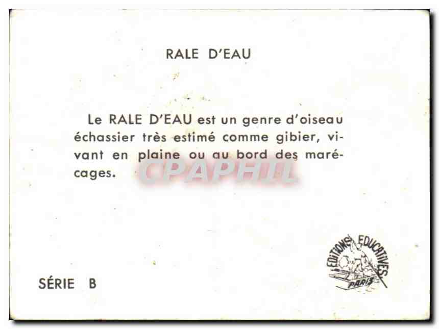 Image Rale D'Eau  — Verso