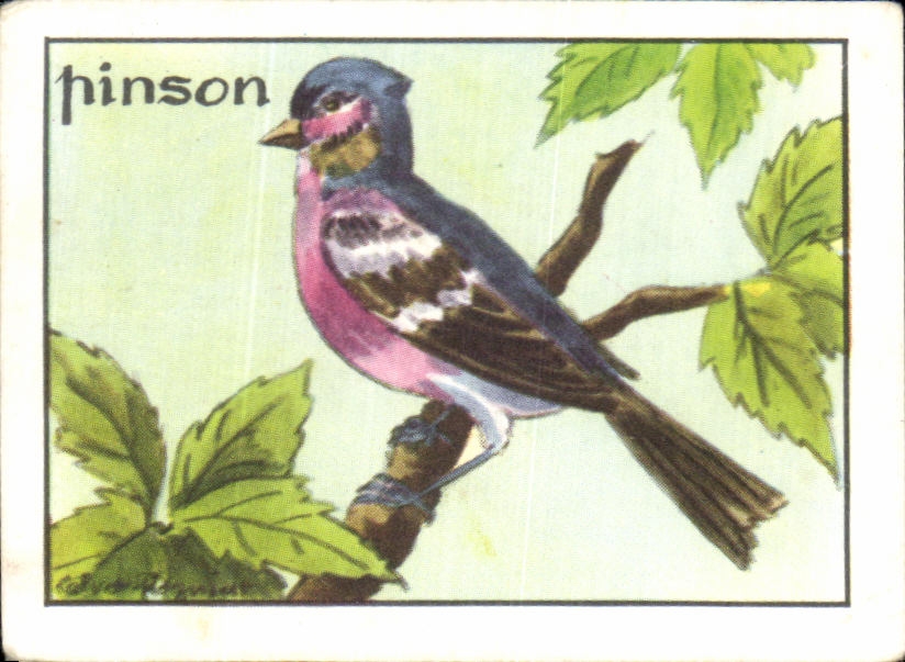 Image Pinson