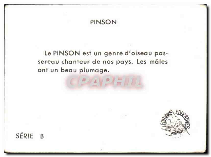 Image Pinson — Rückseite