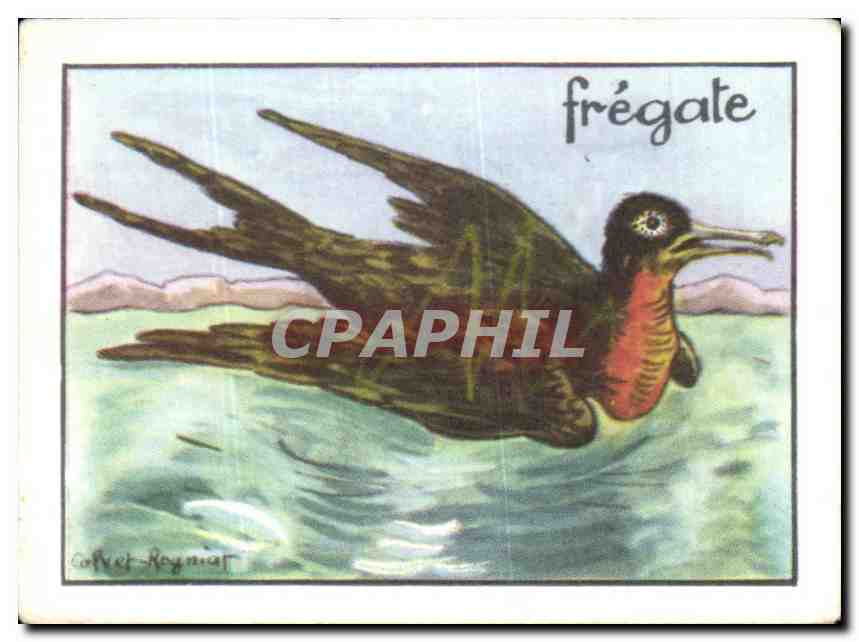 Image Fregate 