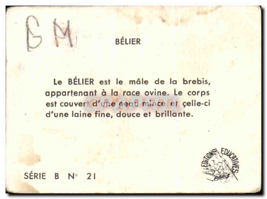 Image Belier — Verso
