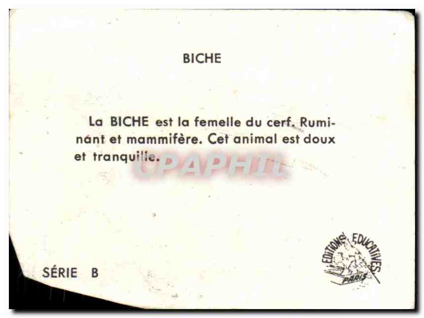 Image Biche  — Rückseite