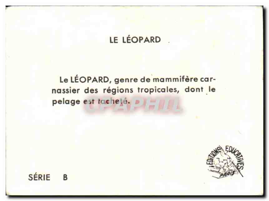 Image Le Leopard  — Verso