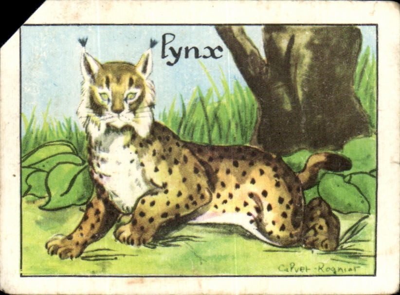 Image Lynx 