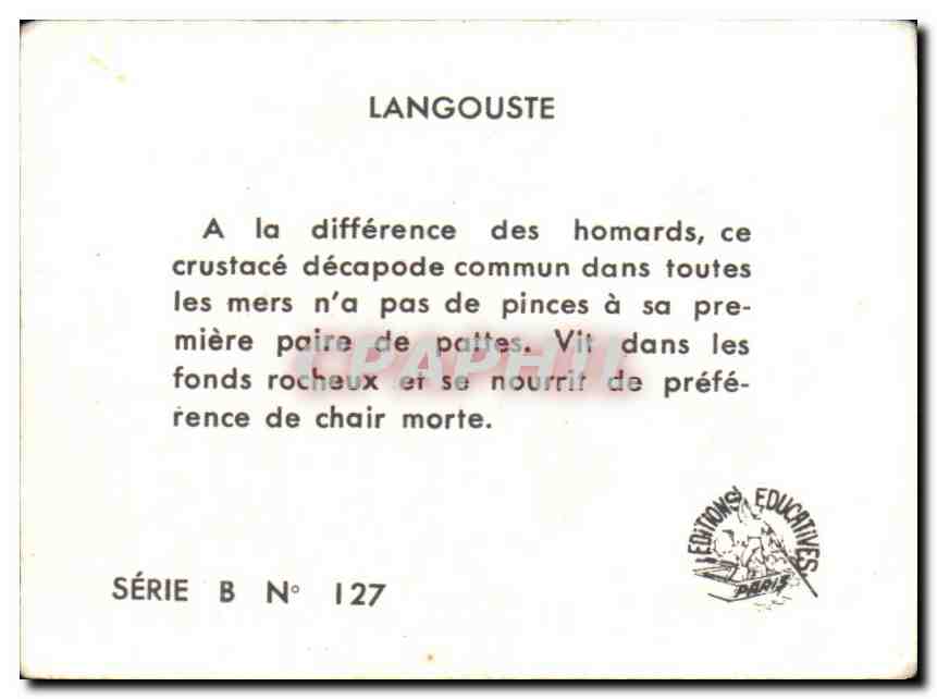 Image Langouste  — Verso