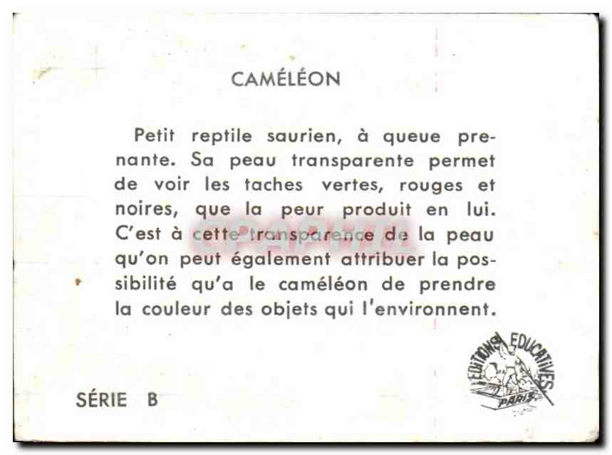 Image Cameleon — Verso