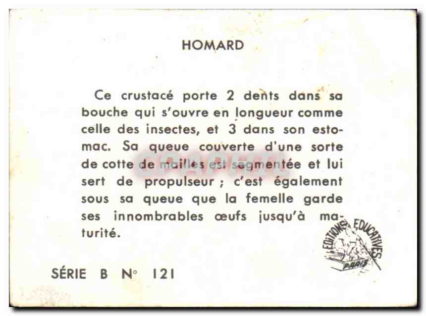 Image Homard — Rückseite