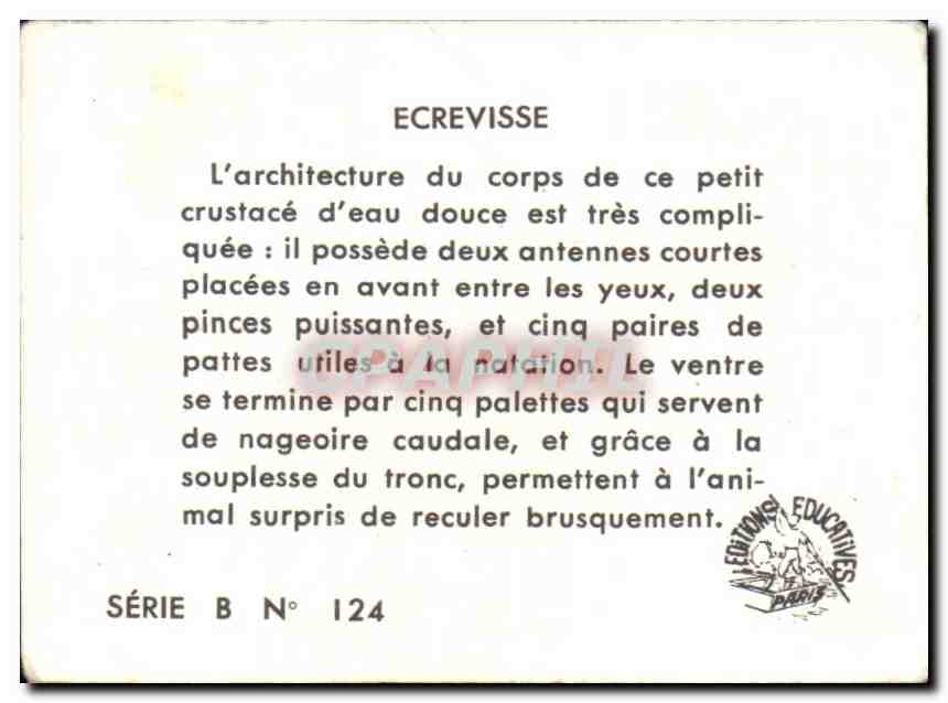 Image ecrevisse — Rückseite