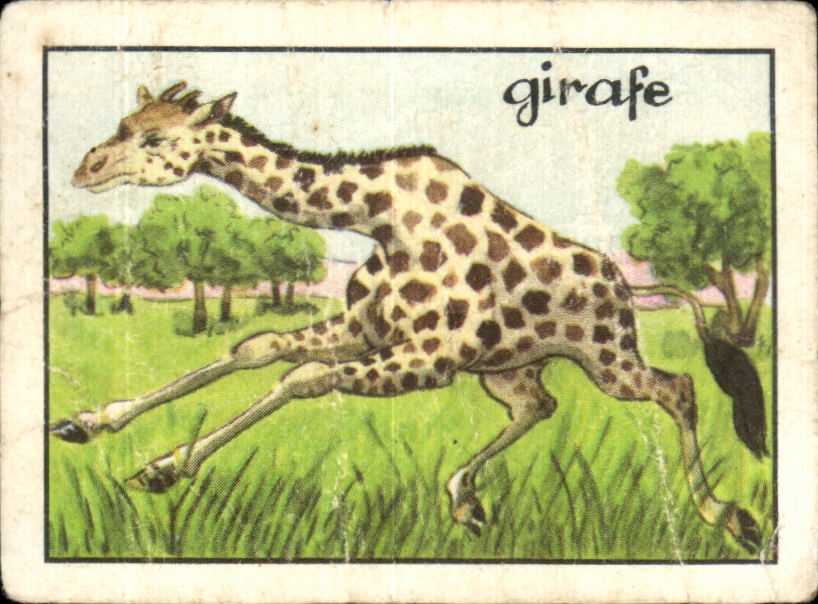 Image girafe Giraf