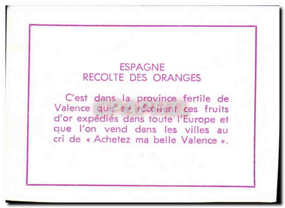 Image Espagne recolte des oranges — Verso