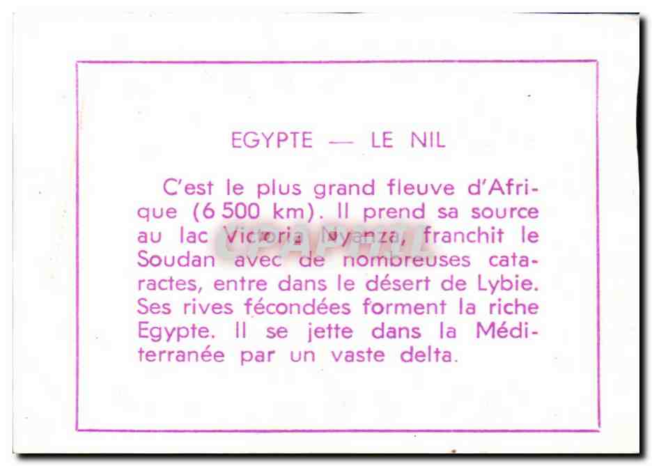 Image Egypte Le Nil Egypt — Verso