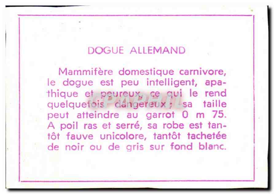 Image Jogue allemand Chien  — Verso